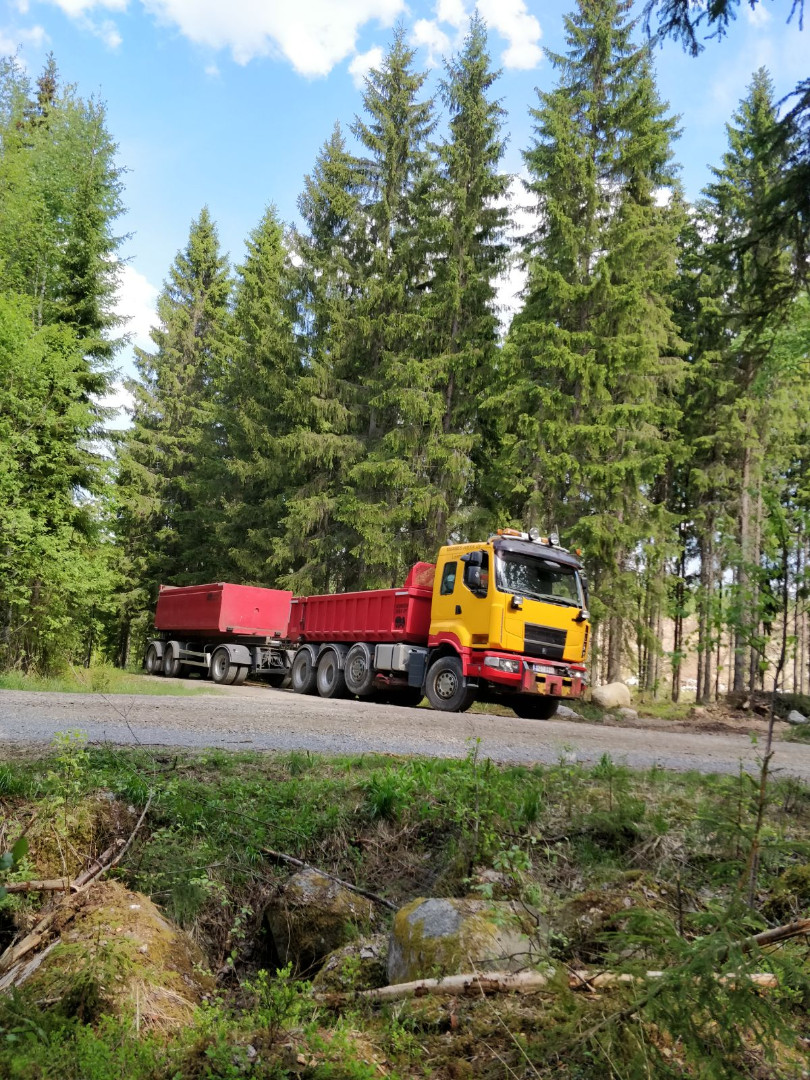 Keltainen ja punainen kuorma-auto metsässä
