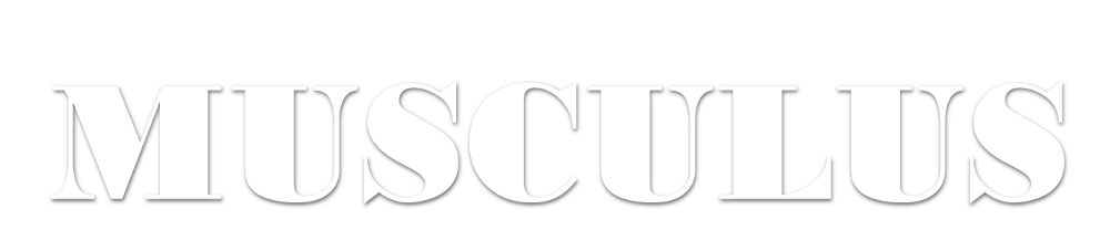 Fysikaalinen Hoitolaitos Musculus