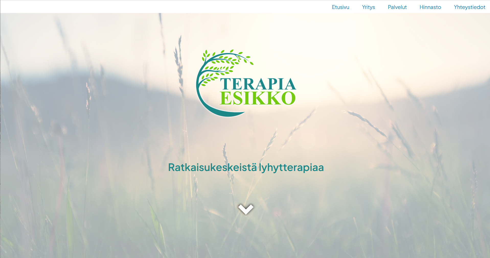 Case: Terapia Esikko – verkkosivusto ja ilme uudelle yritykselle